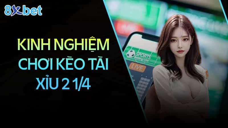 Hướng dẫn cách đọc kèo tài xỉu 2 1/4 đơn giản cho người mới 2 Kinh nghiệm chơi kèo tài xỉu 2 1/4 luôn thắng lớn