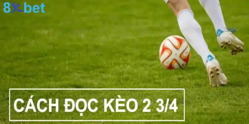 Kèo 3/4 Là Gì? Mẹo Đặt Cược Kèo Chấp 3/4 Hiệu Quả 3 Phương pháp đọc kèo 0.75 chuẩn nhất