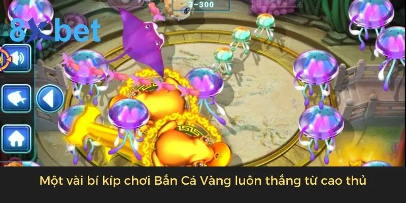 Bắn Cá Vàng - Tựa Game Đổi Thưởng Online Hot Nhất 2024 5 Một vài bí kíp chơi Bắn Cá Vàng luôn thắng từ cao thủ