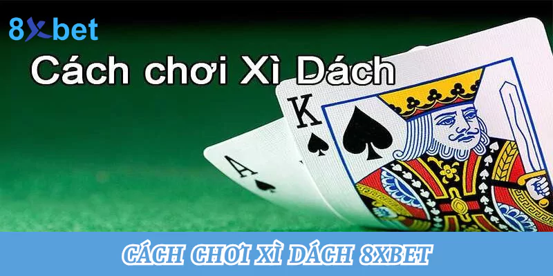 Tổng hợp cách chơi xì dách tại nhà cái 8xbet thắng lớn nhất 4 Cách chơi bài xì dách
