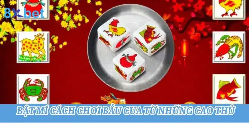 Cách chơi bầu cua đỉnh cao: Bí kíp chiến lược từ cao thủ 4 Cách chơi Bầu Cua từ những cao thủ giúp bạn dành chiến thắng